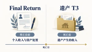 Final Return 与遗产 T3 的申报期间区别图